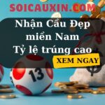 Dự Đoán XSMN 16/2/2025 | Soi Cầu Xổ Số Miền Nam Ngày 16/2