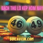 Bạch thủ lô kép hôm nay – Soi cầu lô kép miền bắc miễn phí