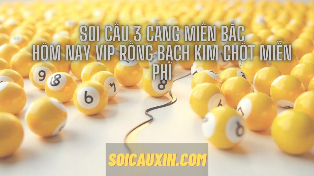 Soi cầu 3 càng miền Bắc hôm nay VIP rồng bạch kim chốt miễn phí