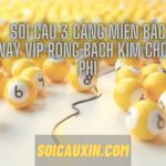 Soi cầu 3 càng miền Bắc hôm nay VIP rồng bạch kim chốt miễn phí