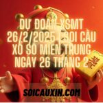 Dự Đoán XSMT 26/2/2025 | Soi Cầu Xổ Số Miền Trung Ngày 26 Tháng 2