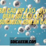 Soi cầu VIP 4 số – Dự đoán soi cầu 4 số soicauxin.com ăn cả