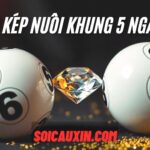 Lô Kép Nuôi Khung 5 Ngày – Phương Pháp Chơi Hiệu Quả, Ăn Chắc