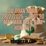 Dự Đoán XSMN 28/2/2025 – Chốt Số May Mắn Miền Nam Hôm Nay