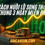 Cách nuôi lô song thủ khung 3 ngày miễn phí, đảm bảo hiệu quả