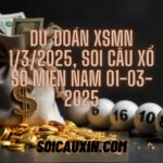 Dự đoán XSMN 1/3/2025, soi cầu Xổ Số Miền Nam 01-03-2025