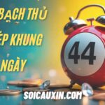 Nuôi Bạch Thủ Lô Kép Khung 1 Ngày – Bí Quyết Bất Bại