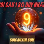 Soi cầu 1 số duy nhất – Dự đoán cặp số duy nhất miền Bắc chính xác