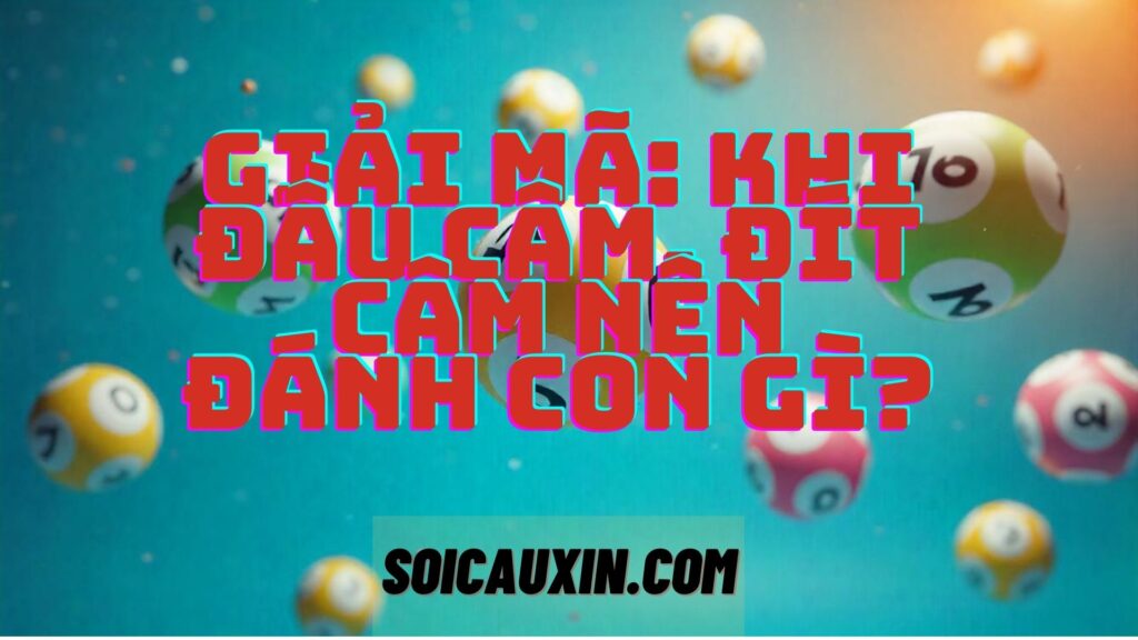 Giải mã: Khi đầu câm, đít câm nên đánh con gì?