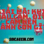 Giải mã: Khi đầu câm, đít câm nên đánh con gì?