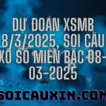 Dự đoán XSMB 8/3/2025, soi cầu Xổ Số Miền Bắc 08-03-2025