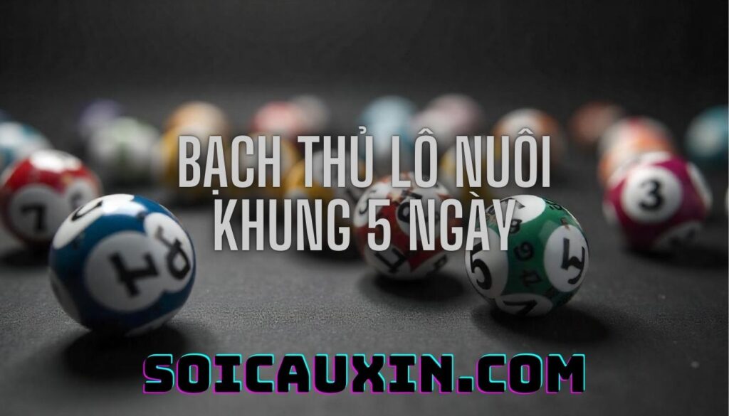 Bạch thủ lô khung 5 ngày – Phương pháp chơi lô đề hiệu quả