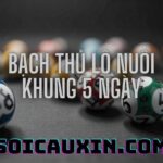 Bạch thủ lô khung 5 ngày – Phương pháp chơi lô đề hiệu quả