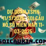 Dự đoán XSMN 11/3/2025, soi cầu Xổ Số Miền Nam 11-03-2025