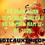 Dự đoán XSMN 12/3/2025, soi cầu Xổ Số Miền Nam 12-03-2025