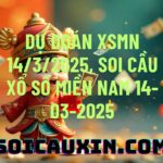 Dự đoán XSMN 14/3/2025, soi cầu Xổ Số Miền Nam 14-03-2025