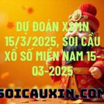 Dự đoán XSMN 15/3/2025, soi cầu Xổ Số Miền Nam 15-03-2025