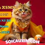 Dự đoán XSMN 02/3/2025 – Soi cầu Xổ Số Miền Nam ngày 02/03/2025