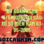 Dự đoán XSMN 3/5/2025, soi cầu Xổ Số Miền Nam 03-05-2025
