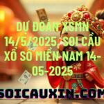 Dự đoán XSMN 14/5/2025, soi cầu Xổ Số Miền Nam 14-05-2025